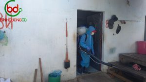 Dịch vụ khử trùng nhà cửa – Binhduongco
